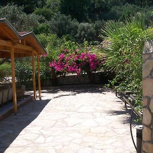 Hotel Sevgi 2